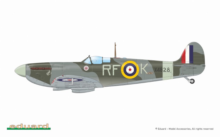 82151_COL_G.jpg